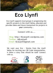 Eco Llynfi blog